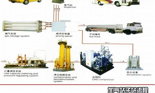 cng电控系统哪个比较好_cng汽车电脑系统有几种