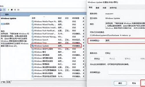 电脑系统更新卡顿原因,电脑系统更新变卡怎