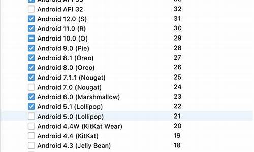 apk支持的电脑系统_apk支持的电脑系