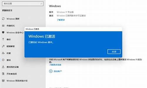 电脑系统11升级专业版,升级windows11专业版