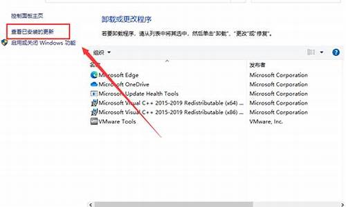 电脑系统更新卸载不了-电脑系统更新卸载